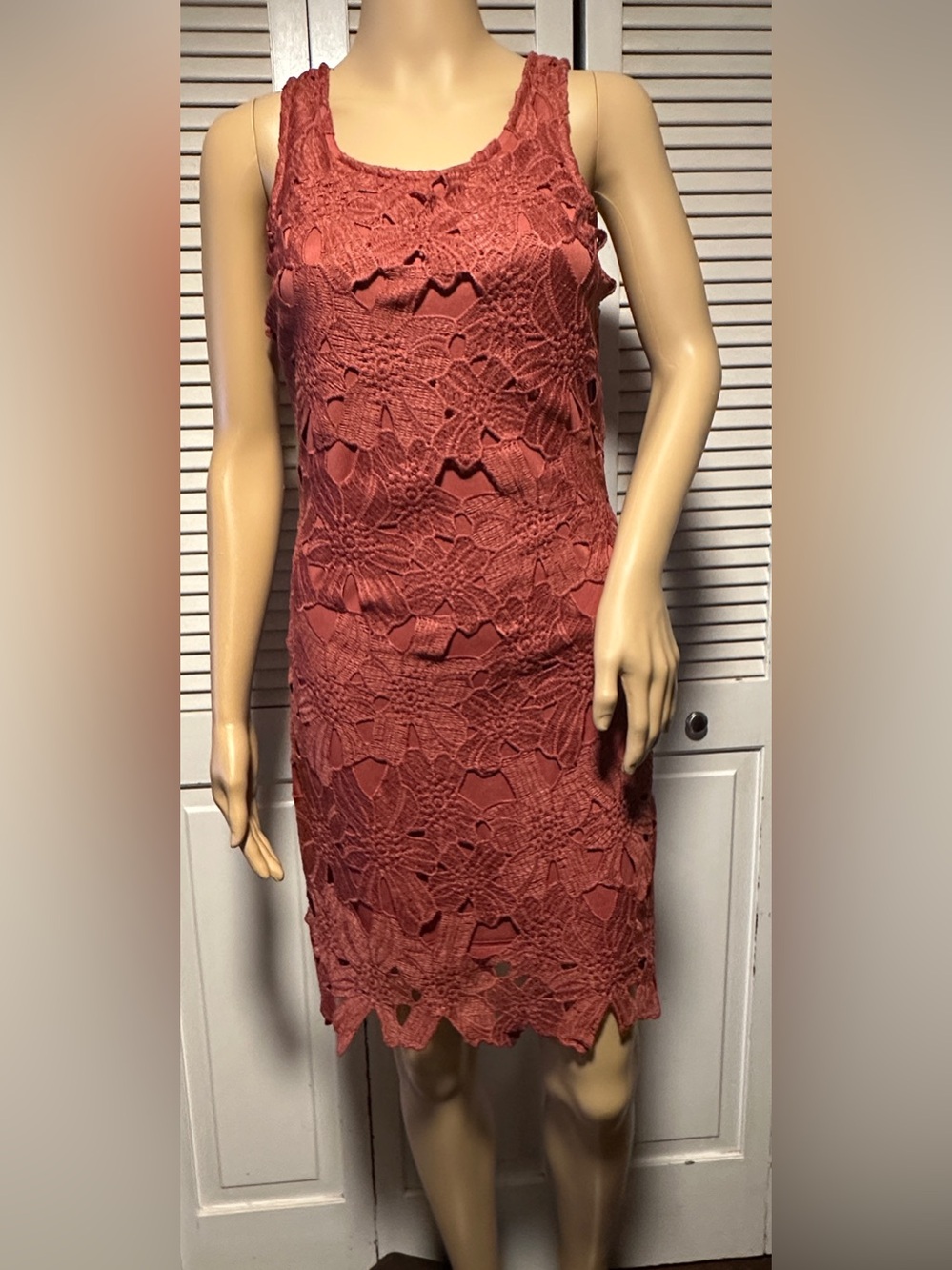 NWT Sleeveless Sheath Dress Floral Lace Overlay Rust Japna S